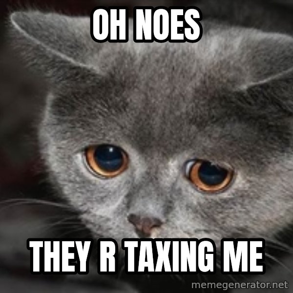Sadcat meme: Oh noes / they r taxing me