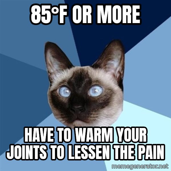 Chronic Illness Cat meme: 85°F or more / have to warm your joints to lessen the pain