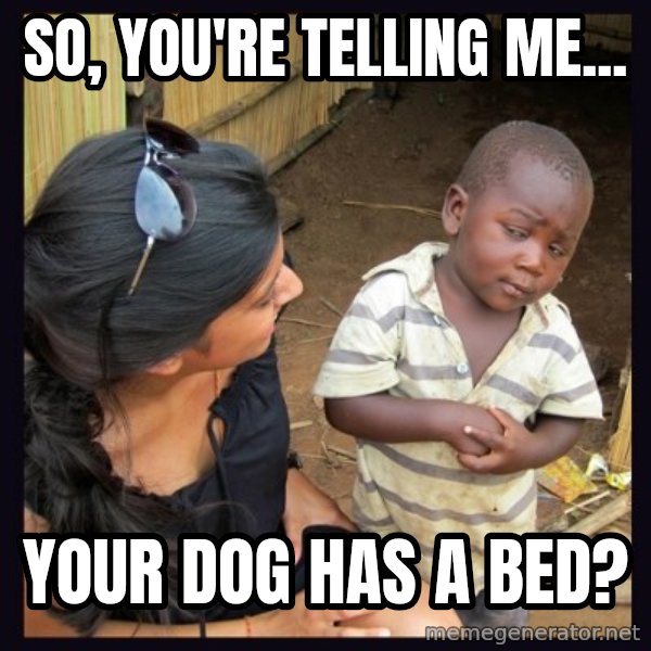Skeptical 3rd World Kid meme: So, you're telling me... / your dog has a bed?
