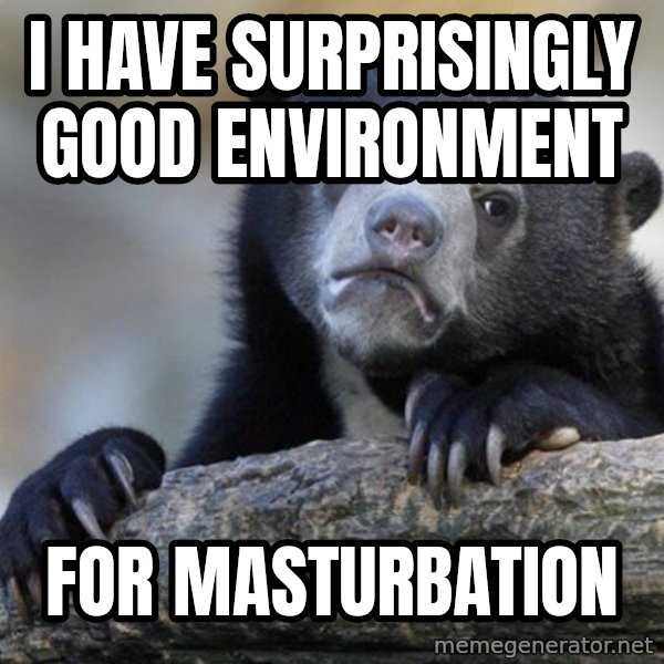 Confession Bear meme: I have surprisingly good environment / for masturbation