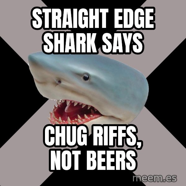 Straight Edge Shark meme: Straight edge Shark says / Chug Riffs, not beers