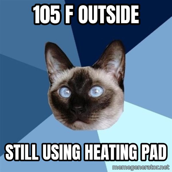 Chronic Illness Cat meme: 105 F Outside / still using heating pad
