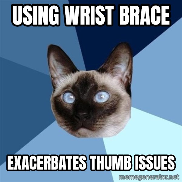 Chronic Illness Cat meme: using wrist brace / exacerbates thumb issues
