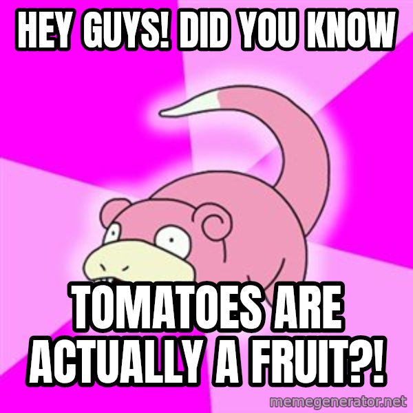 Slowpoke meme: Hey guys! Did you know / Tomatoes are actually a fruit?!