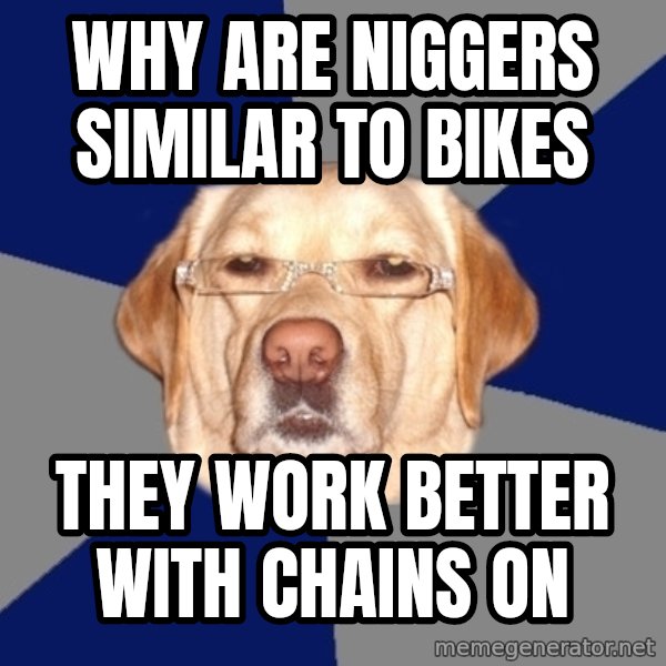 Racist Dog meme: Why are niggers similar to bikes / they work better with chains on