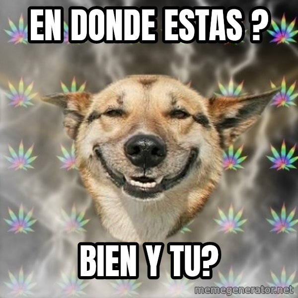 Stoner Dog meme: En donde estas ? / bien y tu?