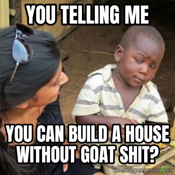 Skeptical 3rd World Kid meme: You telling me / you can build a house without goat shit?