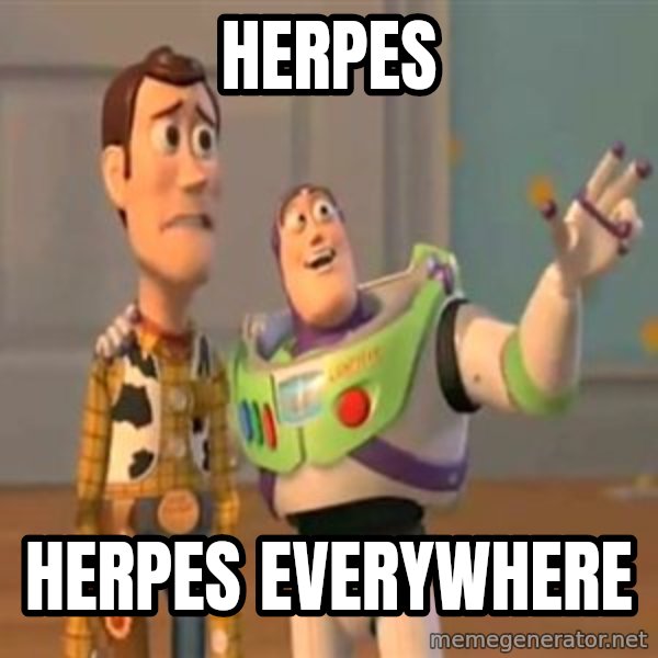 X, X Everywhere  meme: herpes / herpes everywhere