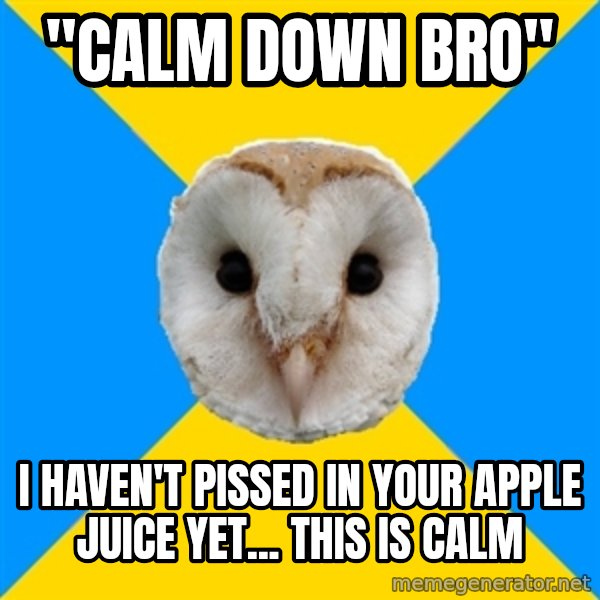 Bipolar Owl meme: "Calm down bro" / i HAVEN'T PISSED IN YOUR APPLE JUICE YET... THIS IS CALM