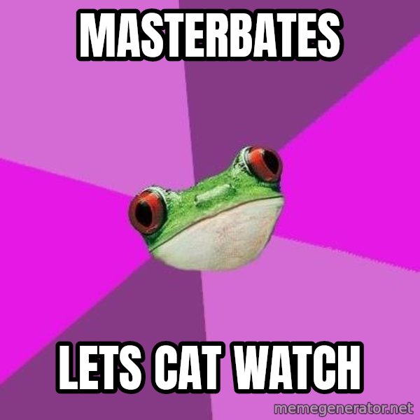 Foul Bachelorette Frog meme: masterbates / lets cat watch