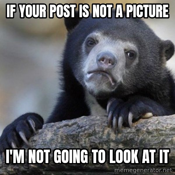 Confession Bear meme: If your post is not a picture / i'm not going to look at it