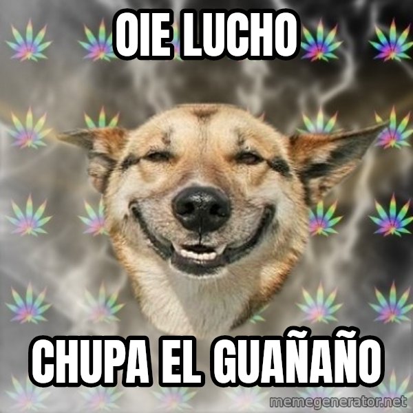 Stoner Dog meme: Oie lucho / chupa el guañaño