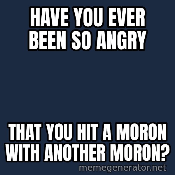 Throwme meme: HAVE YOU EVER BEEN SO ANGRY / THAT YOU HIT A MORON WITH ANOTHER MORON?