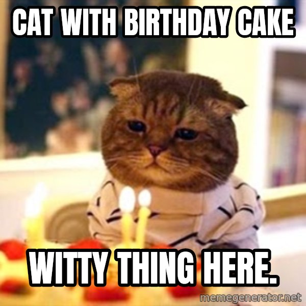 Birthday Cat meme: CAT WITH BIRTHDAY CAKE / WITTY THING HERE.