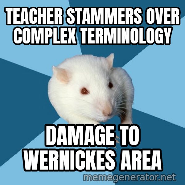 Psychology Major Rat meme: Teacher stammers over complex terminology / damage to wernickes area