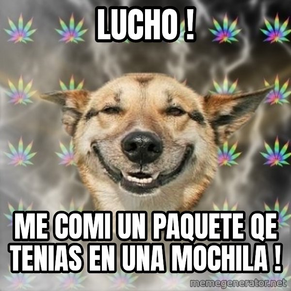 Stoner Dog meme: Lucho ! / me comi un paquete qe tenias en una mochila !
