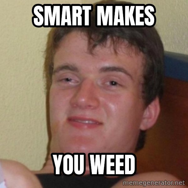 Really Stoned Guy meme: Smart makes / you weed