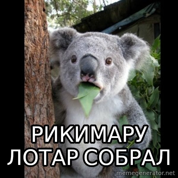 Koala can't believe it meme: рикимару лотар собрал