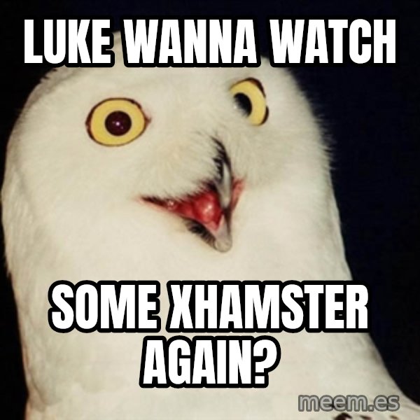 Orly Owl meme: LUKE WANNA WATCH / SOME XHAMSTER AGAIN?