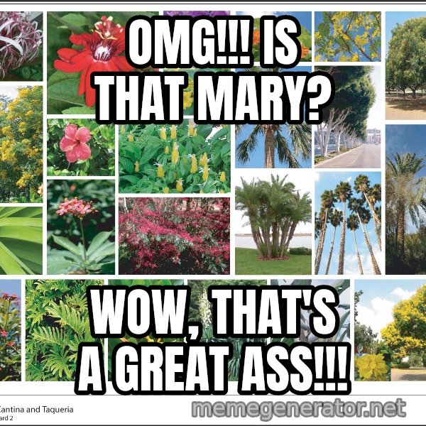 imageboard meme: OMG!!! Is that Mary? / wow, that's a great ass!!!
