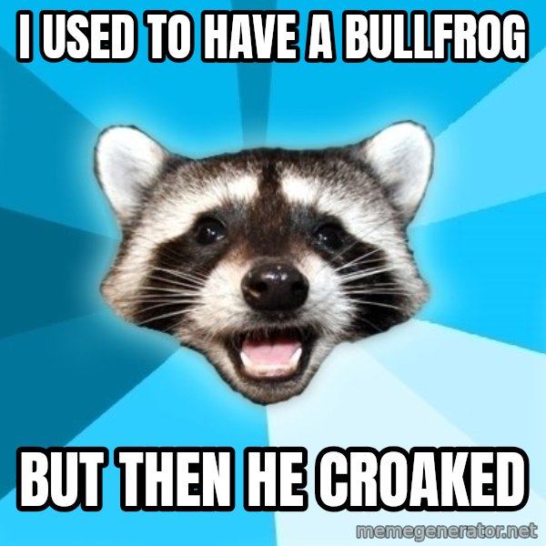 Lame Pun Coon meme: i used to have a bullfrog / but then he croaked