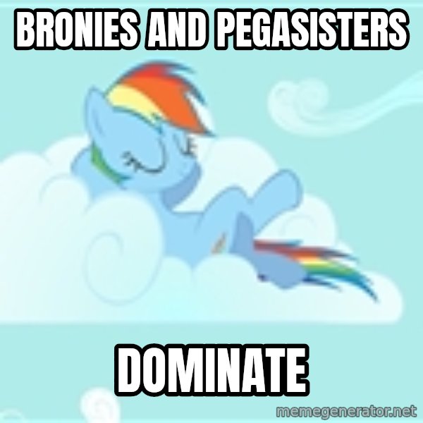 My Little Pony meme: Bronies and pegasisters / dominate