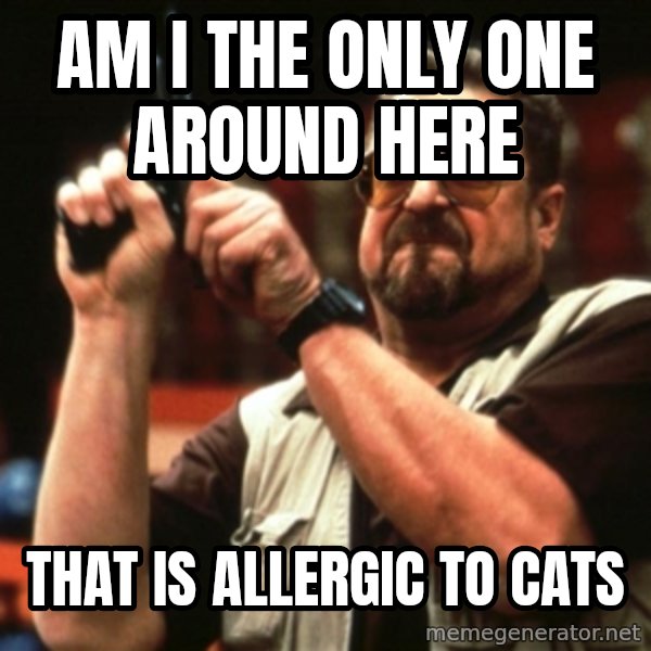 Big Lebowski meme: AM I the only one around here / that is allergic to cats