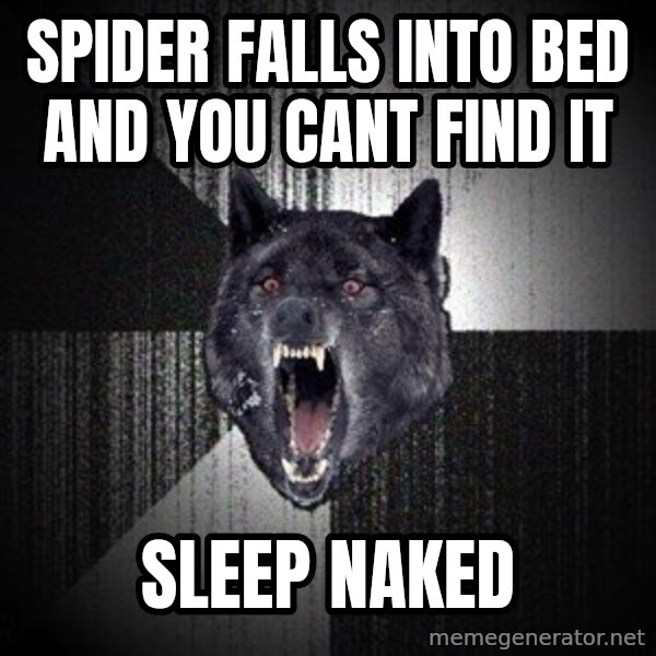 Insanity Wolf meme: spider falls into bed and you cant find it / sleep naked