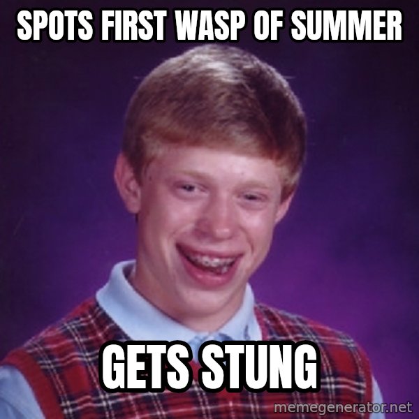 Bad Luck Brian Meme meme: Spots first wasp of summer / GeTs stung