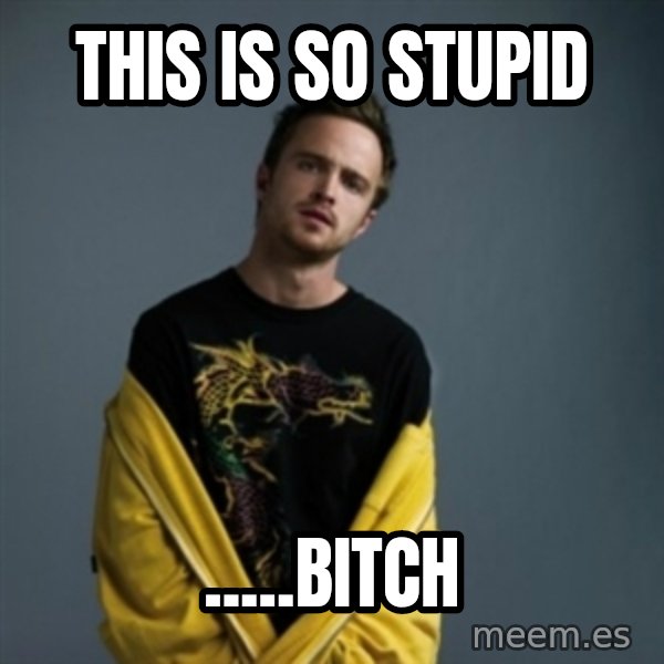 Jesse Pinkman meme: this is so stupid / .....bitch