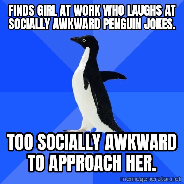 Socially Awkward Penguin meme: Finds girl at work who laughs at socially awkward penguin jokes. / too socially awkward to approach her.