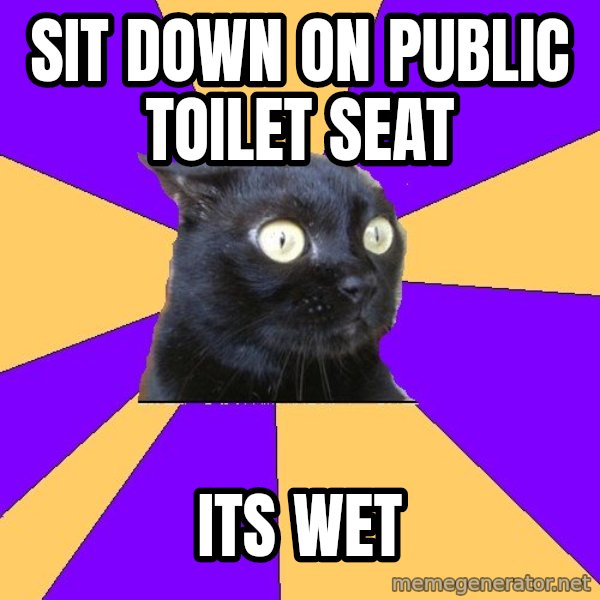 Anxiety Cat meme: sit down on public toilet seat / its wet