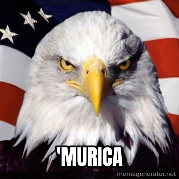 American Pride Eagle meme: 'Murica