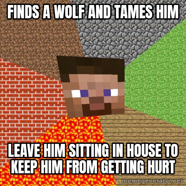 Minecraft Guy meme: finds a wolf and tames him / leave him sitting in house to keep him from getting hurt