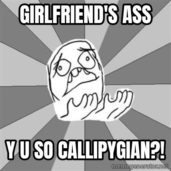 Whyyy??? meme: Girlfriend's ASS / y u so callipygian?!