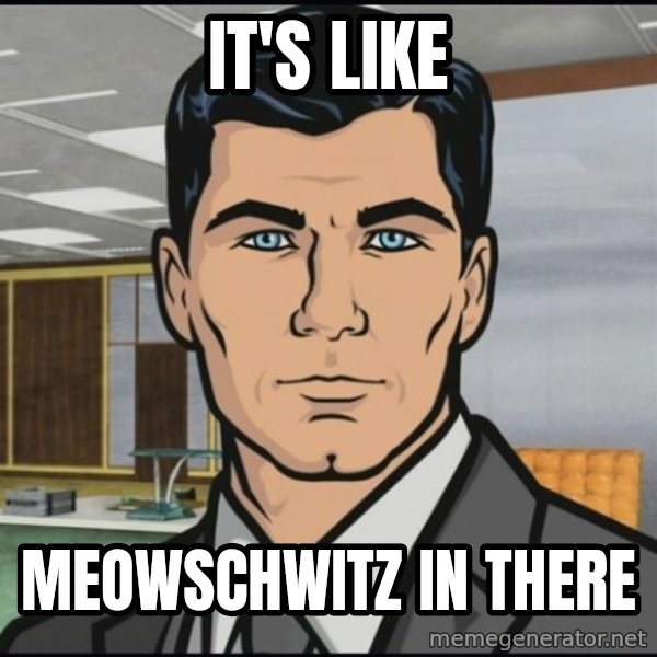 Archer meme: It's like / Meowschwitz in there