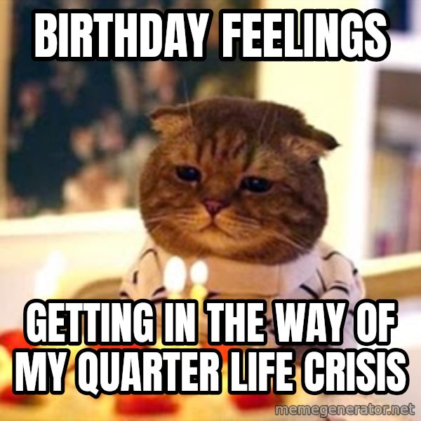 Birthday Cat meme: Birthday Feelings / Getting in the way of my quarter life crisis