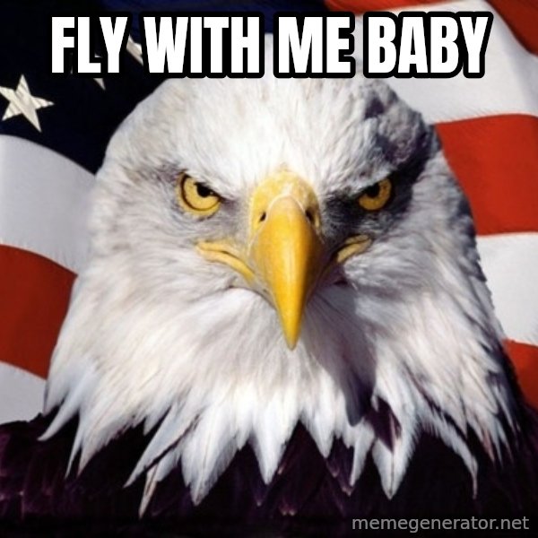 American Pride Eagle meme: Fly With Me Baby