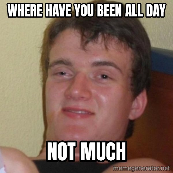 Really Stoned Guy meme: Where have you been all day / Not much
