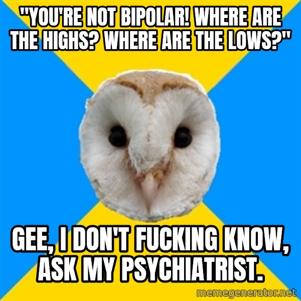 Bipolar Owl meme: "You're not bipolar! Where are the highs? Where are the lows?" / Gee, I don't fucking know, ask my psychiatrist.