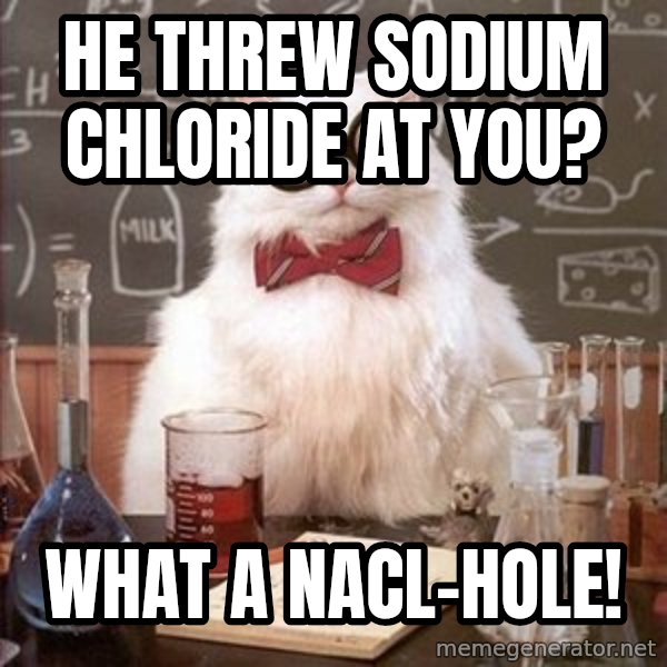 Chemistry Cat meme: He threw Sodium chloride at you? / what a nacl-hole!