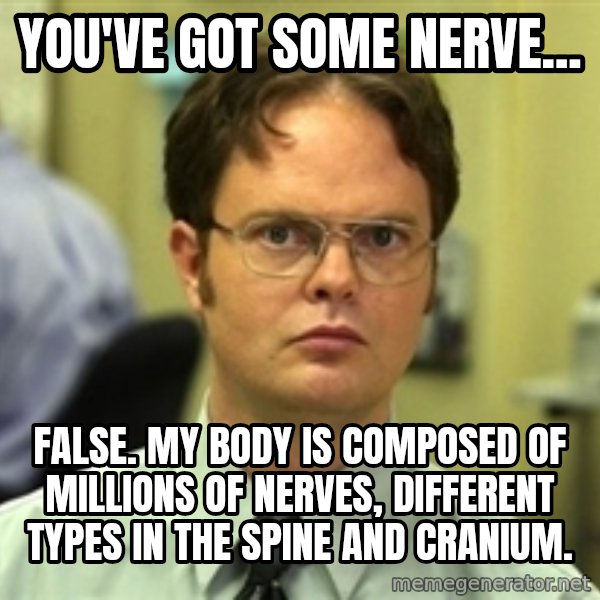 Dwight Schrute meme: YOU'VE GOT SOME NERVE... / FALSE. My BODY IS COMPOSED OF MILLIONS OF NERVES, DIFFERENT TYPES IN THE SPINE AND CRANIUM.