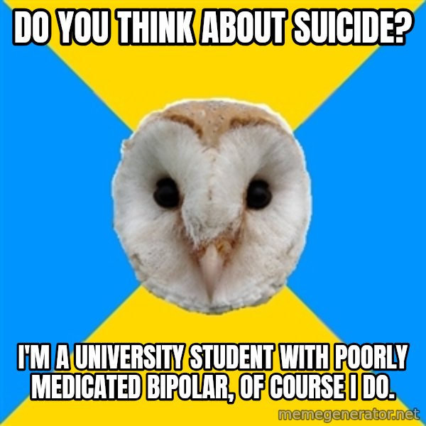 Bipolar Owl meme: Do YOU THINK ABOUT SUICIDE? / i'M A UNIVERSITY STUDENT WITH POORLY MEDICATED BIPOLAR, OF COURSE I DO.