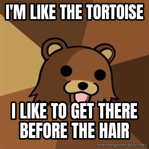 Pedobear meme: I'm like the tortoise / I like to get there before the hair