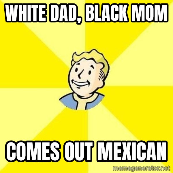 Fallout 3 meme: WHITE DAD, BLACK MOM / Comes Out Mexican