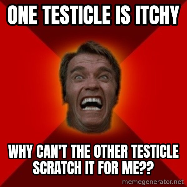 Angry Arnold meme: One testicle is itchy / Why can't the other testicle scratch it for me??