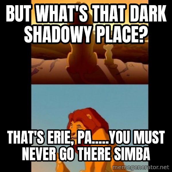 Lion King Shadowy Place meme: But what's that dark shadowy place? / that's erie, pa.....you must never go there simba