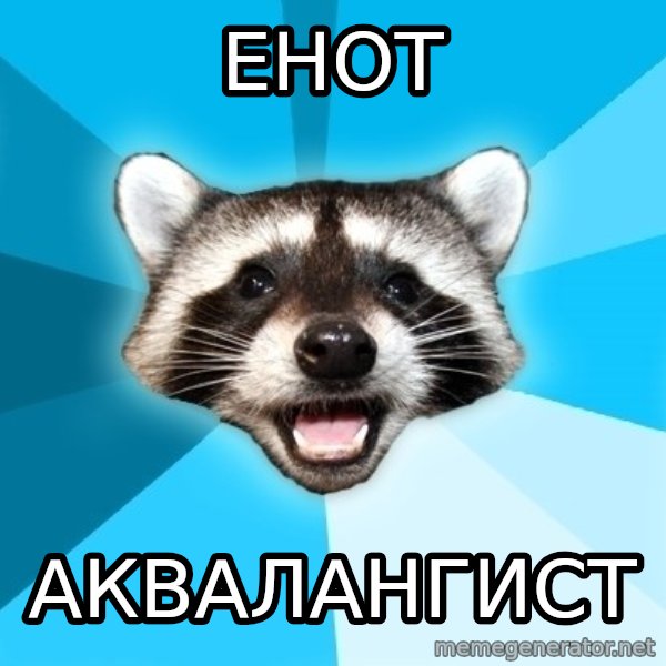 Lame Pun Coon meme: Енот / АКВАЛАНГИСТ