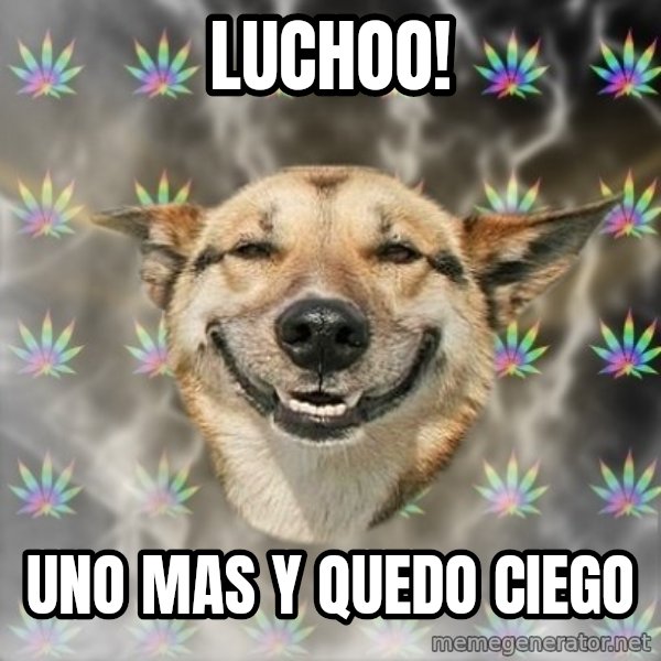 Stoner Dog meme: Luchoo! / Uno Mas y Quedo ciego
