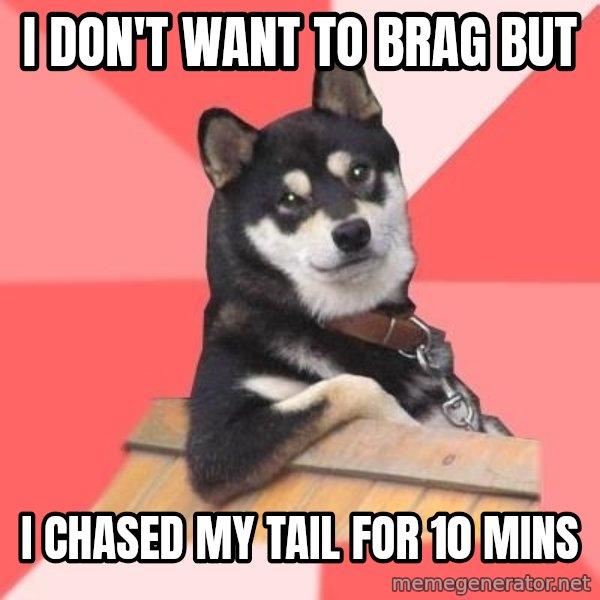 Cool Dog meme: i don't want to brag but / i chased my tail for 10 mins